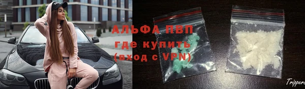 кристаллы Гусь-Хрустальный