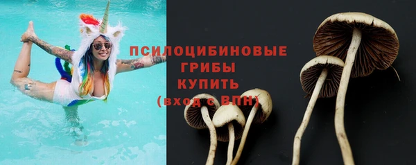 2c-b Гусев