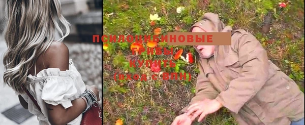 кристаллы Гусь-Хрустальный