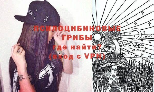 кристаллы Гусь-Хрустальный