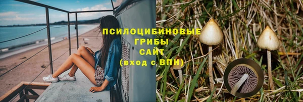 кристаллы Гусь-Хрустальный