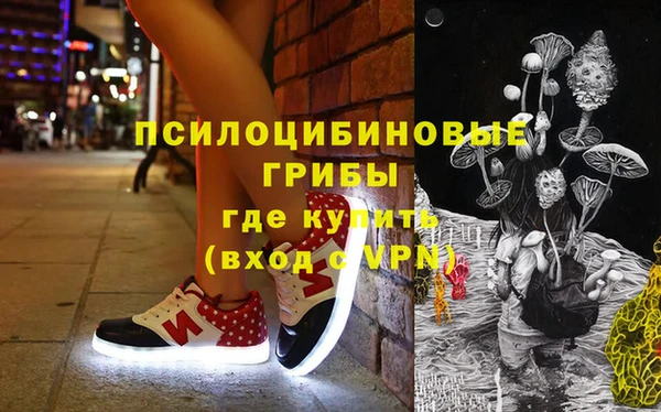 кристаллы Гусь-Хрустальный