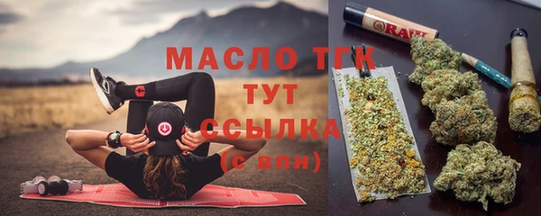 2c-b Гусев